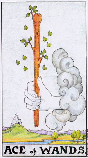 78張塔羅牌圖片解釋大全之權(quán)杖首牌